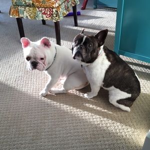 Meet your Posher, Michael